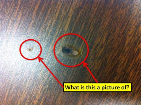 This is a picture of two marks caused by a type of damage on a piece of furniture